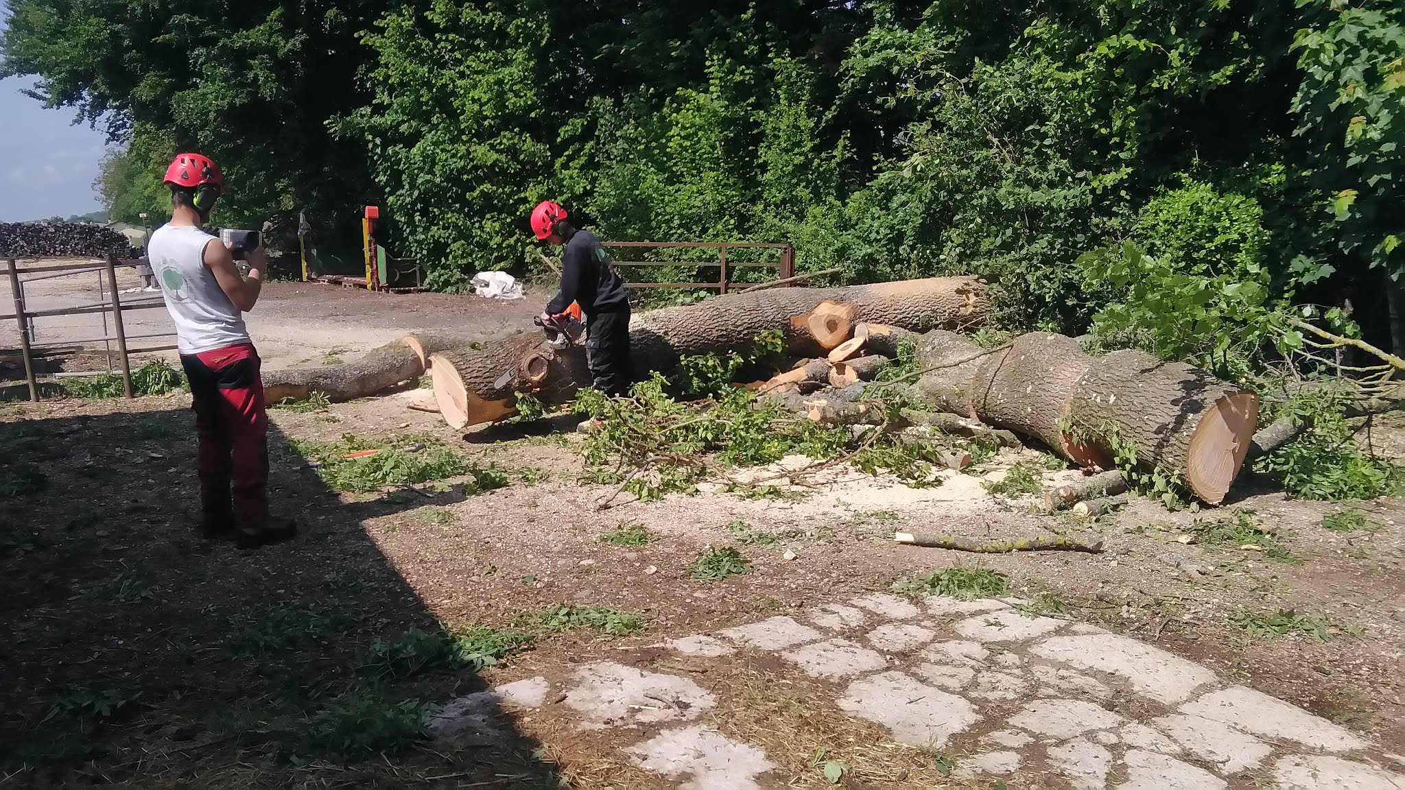 Photo n° 2 de l'avis de Coste.i fait le 12/05/2020 à 09:50