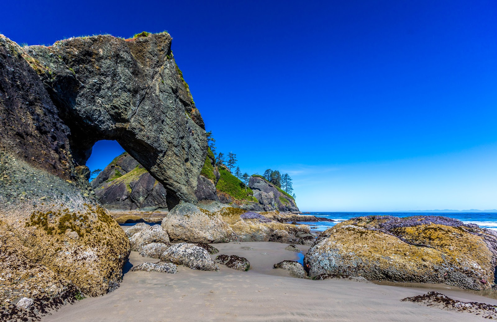 Zdjęcie Shi Shi Beach z powierzchnią turkusowa czysta woda