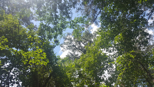 Park «Lake Houston Wilderness Park», reviews and photos, 25840 FM 1485, New Caney, TX 77357, USA