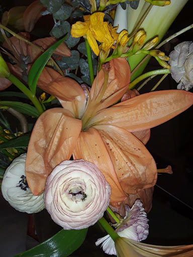 Grocery Store «Hopey and Co.», reviews and photos, 45 S French Broad Ave, Asheville, NC 28801, USA