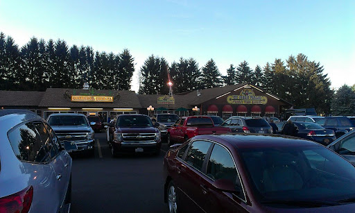 Movie Theater «Silver Lake Drive In Theatre», reviews and photos, 7037 Chapman Ave, Perry, NY 14530, USA