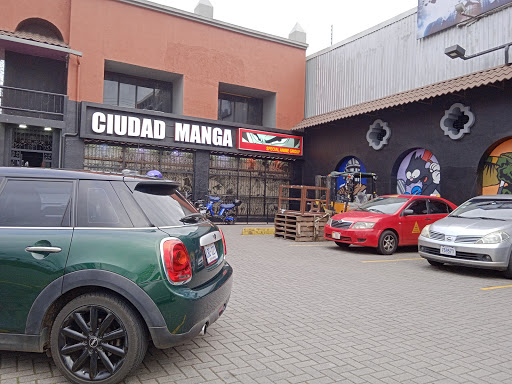 Ciudad Manga