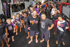 NOGI MMA image