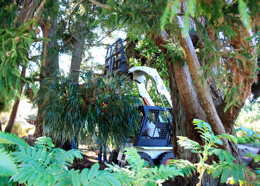 Tourist Attraction «Mendocino Coast Botanical Gardens», reviews and photos, 18220 CA-1, Fort Bragg, CA 95437, USA