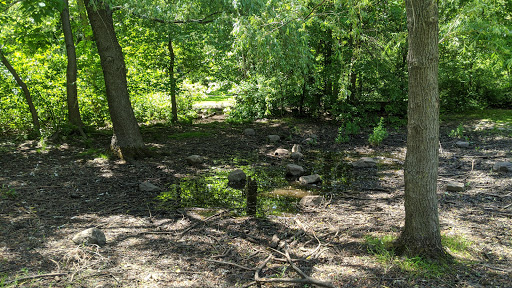 Park «Griggs Park», reviews and photos, 33 Griggs Rd, Brookline, MA 02446, USA