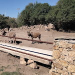 Photo n°3 de l'avis de Dani. fait le 09/10/2023 à 17:59 sur le  Su Meriacru | Cucina Identitaria à Siniscola