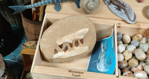 Rock Shop «Prospectors Crystals, Rocks & Gift Shop», reviews and photos, 1640 Gravois Rd, High Ridge, MO 63049, USA