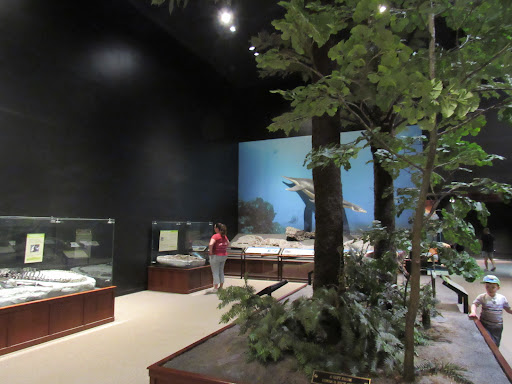 Science Museum «Museum of the Rockies», reviews and photos, 600 W Kagy Blvd, Bozeman, MT 59717, USA