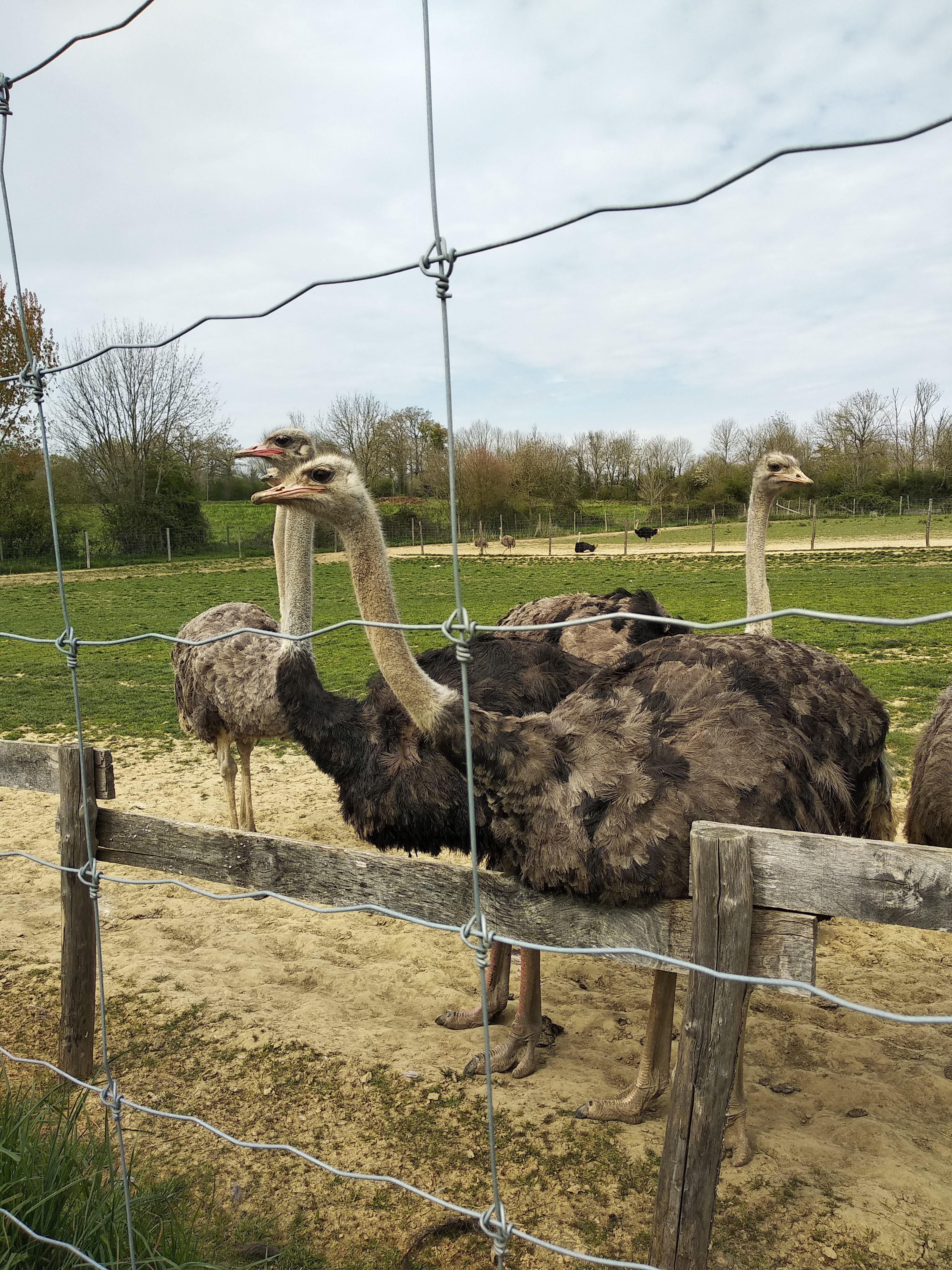 Photo n° 9 de l'avis de Corinne.r fait le 20/04/2019 à 14:41