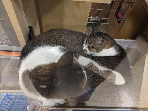 Pet Supply Store «PetSmart», reviews and photos, 26532 Towne Centre Dr, Foothill Ranch, CA 92610, USA