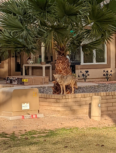 Country Club «Union Hills Country Club», reviews and photos, 9860 W Lindgren Ave, Sun City, AZ 85373, USA