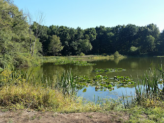 Old Troy Park