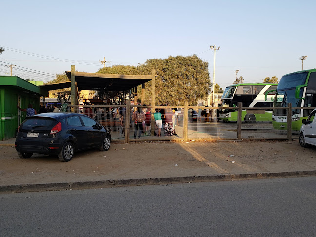 Opiniones de Terminal De Buses De Algarrobo en Algarrobo - Servicio de taxis