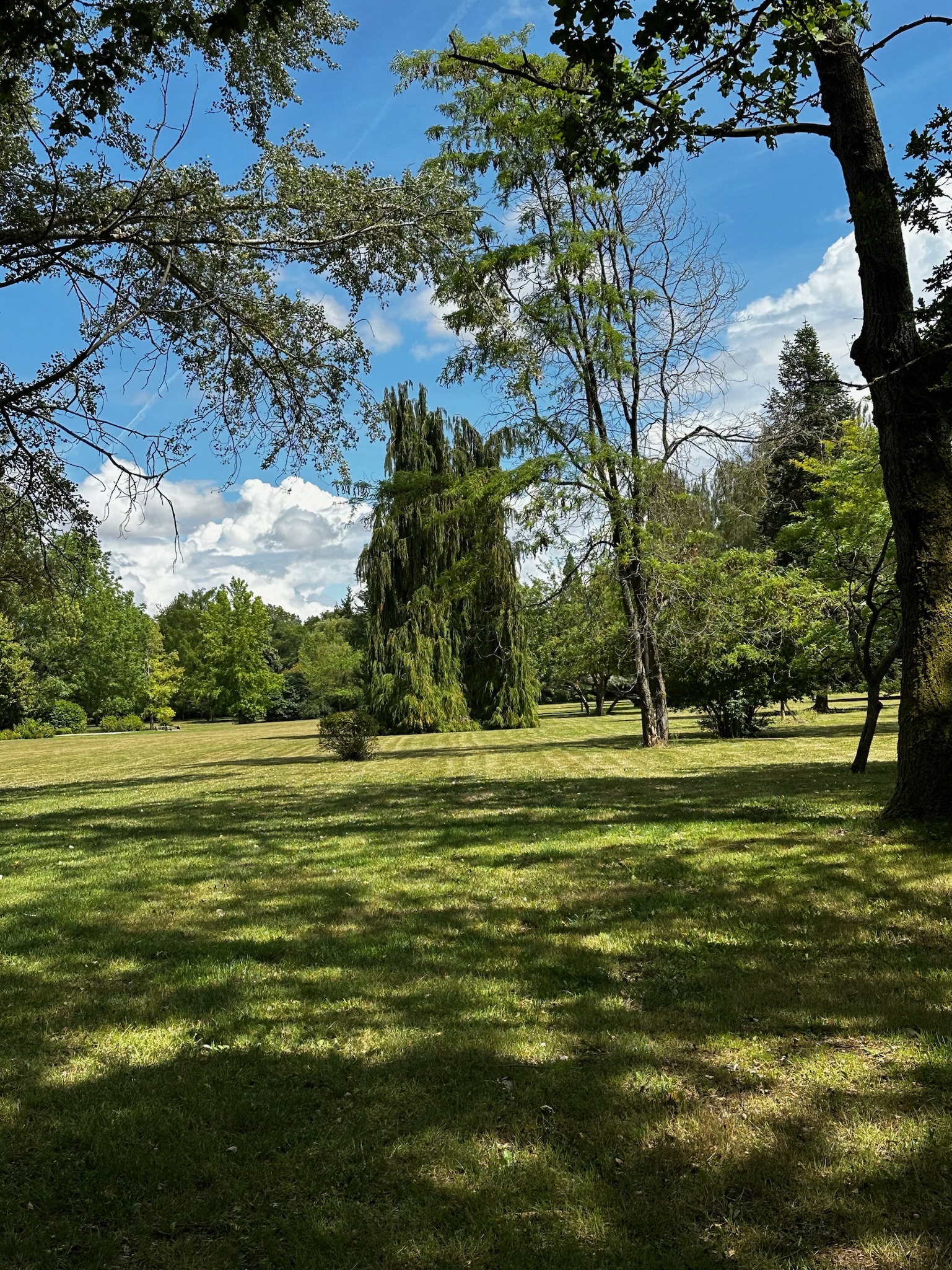 Photo n° 1 de l'avis de Sidney.o fait le 06/08/2023 à 13:44