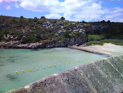 Playa es Canutells'in fotoğrafı imkanlar alanı