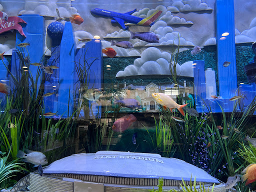 Tropical Fish Store «Fish Gallery», reviews and photos, 6955 Greenville Ave, Dallas, TX 75231, USA