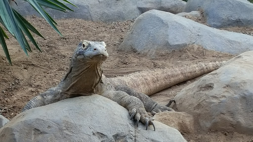 Golf Course «City Park Golf Course», reviews and photos, 2500 York St, Denver, CO 80205, USA