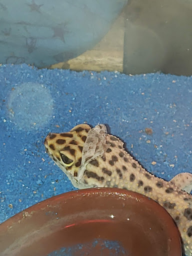 Pet Supply Store «Classic Pet Supply II», reviews and photos, 3180 Gratiot Blvd, Marysville, MI 48040, USA