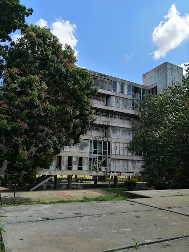 Terapias gestalt en Habana