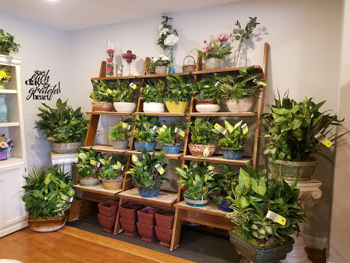 Florist «Starclaire House of Flowers Florist», reviews and photos, 1421 Emerywood Dr, Charlotte, NC 28210, USA