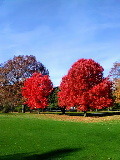 Country Club «Brook-Lea Country Club», reviews and photos, 891 Pixley Rd, Rochester, NY 14624, USA