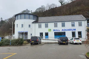Mull Aquarium image