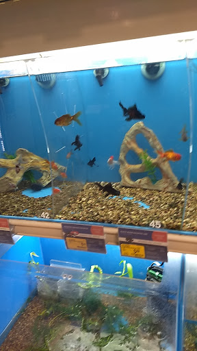 Pet Supply Store «PetSmart», reviews and photos, 15042 Summit Ave, Fontana, CA 92336, USA