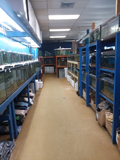 Pet Store «Exotic Fish», reviews and photos, 406 Northside Dr # F, Valdosta, GA 31602, USA