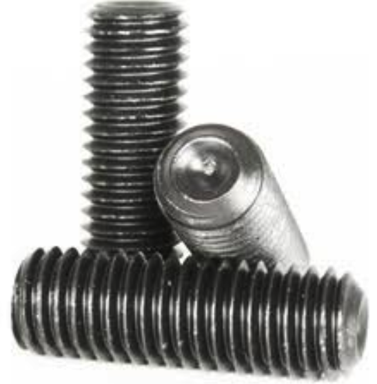 The Nutty Company, Inc.