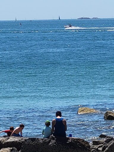 Garden «Lynch Park Rose Garden», reviews and photos, Lynch Park, Beverly, MA 01915, USA