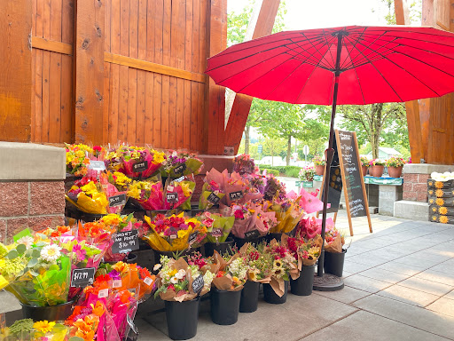 Grocery Store «Haggen Food & Pharmacy», reviews and photos, 17641 Garden Way NE, Woodinville, WA 98072, USA