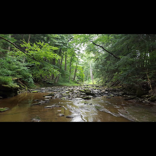 Tourist Attraction «Winsdor Mills Covered Bridge», reviews and photos, 7696 Warner Hollow Rd, Windsor, OH 44099, USA