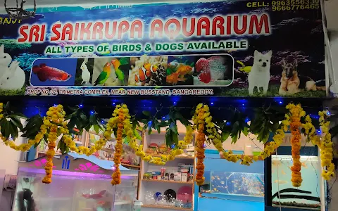 Sri Sai Krupa Aquariums image