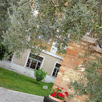 Photo n°2 de l'avis de Laurence.a fait le 06/08/2019 à 08:09 sur le  Excel Roma Montemario à Rome