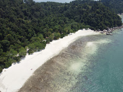 Teluk Segadas Beach'in fotoğrafı geniş ile birlikte