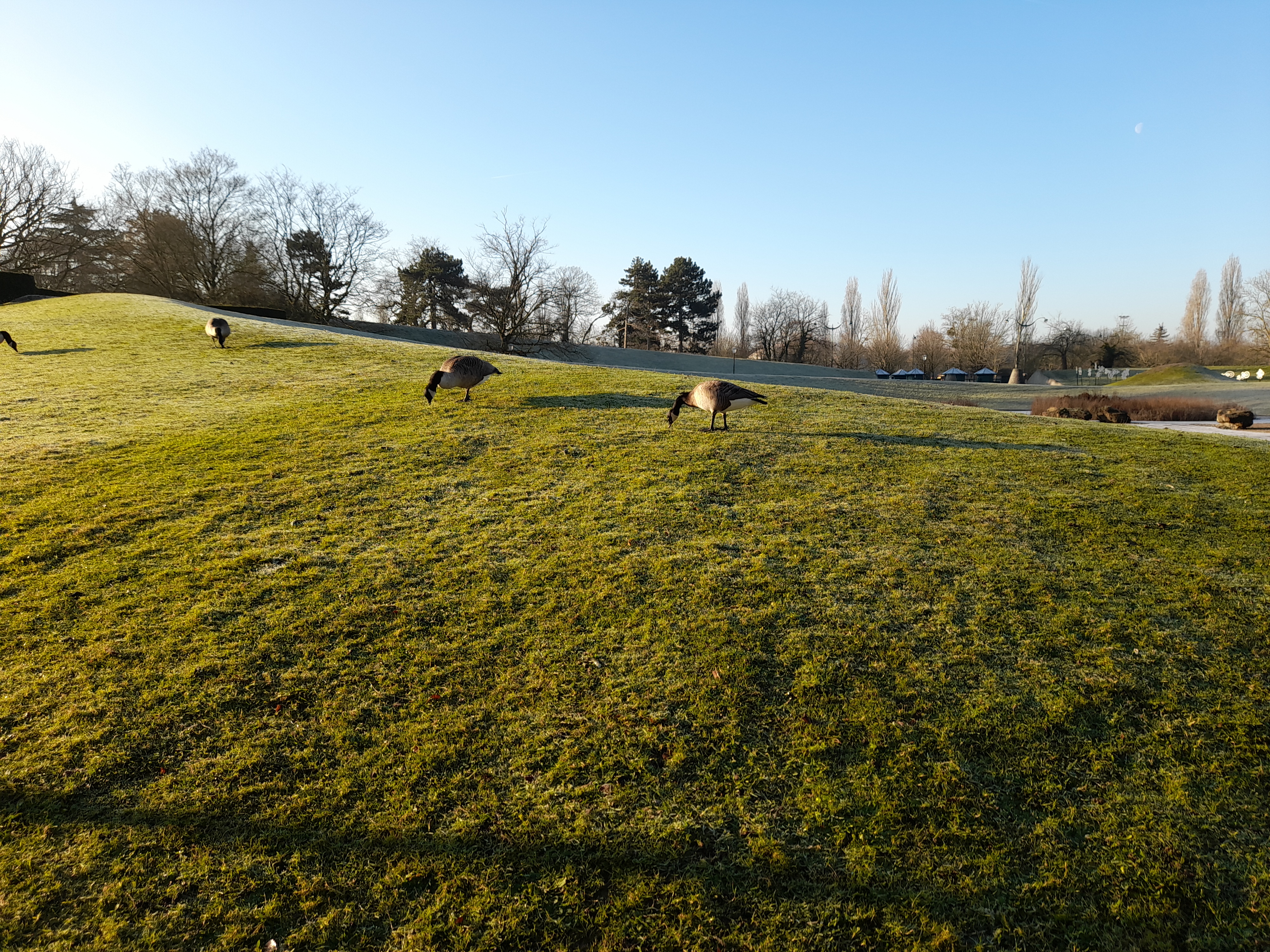 Photo n° 7 de l'avis de D. fait le 26/01/2022 à 12:05