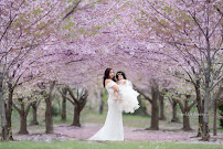 Nilda Lemus Photography - Photo 3 - Car repair in City of Orange, NJ, Newark
