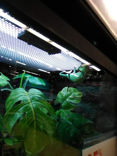 Pet Supply Store «Petco Animal Supplies», reviews and photos, 30697 US Hwy 19 N, Palm Harbor, FL 34684, USA