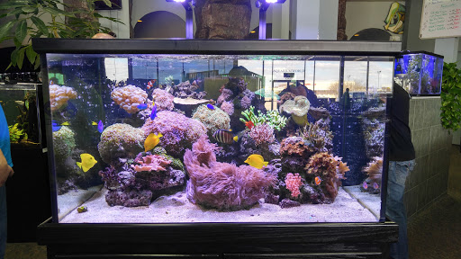 Aquarium «Aquarium World», reviews and photos, 13157 Northwest Fwy, Houston, TX 77040, USA