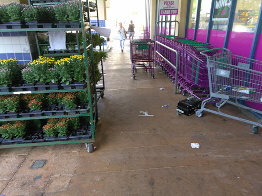 Discount Store «99 Cents Only Stores», reviews and photos, 2868 Zinfandel Dr, Rancho Cordova, CA 95670, USA