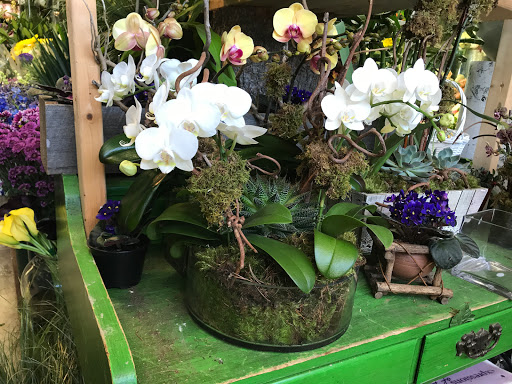 Florist «Fairfield Florist», reviews and photos, 1998 Post Rd, Fairfield, CT 06824, USA