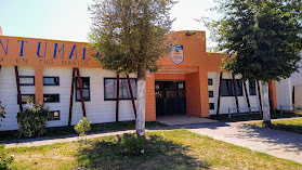 Colegio Antumalal