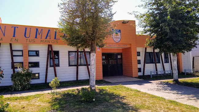 Colegio Antumalal