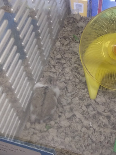 Pet Supply Store «Petco Animal Supplies», reviews and photos, 1624 Governors Square Blvd, Tallahassee, FL 32301, USA