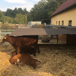 Photo n°4 de l'avis de PrincessLeia. fait le 16/09/2020 à 16:42 sur le  Lütte Meierie à Kratzeburg