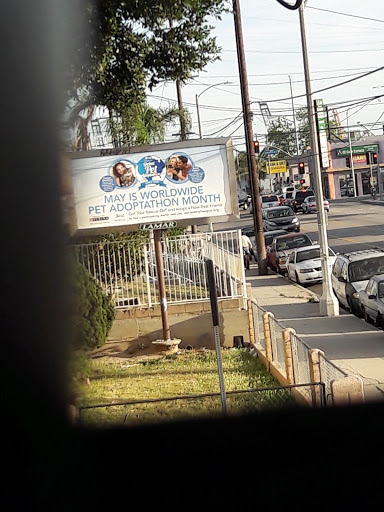 Ice Cream Shop «Boston Cream Doughnut», reviews and photos, 1009 W Anaheim St, Wilmington, CA 90744, USA