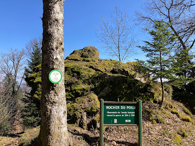 Rocher du poilu observatoire de la guerre 14/18 à Bourbach-le-Haut