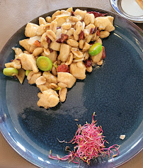 Poulet Kung Pao du Restaurant de spécialités du Sichuan (Chine) Restaurant Les Saveurs du Sichuan à Paris - n°5