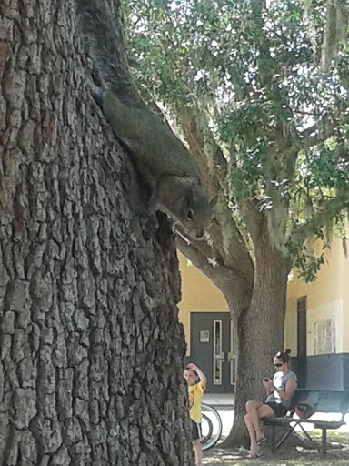 Recreation Center «Apollo Beach Recreation Center», reviews and photos, 664 Golf and Sea Blvd, Apollo Beach, FL 33572, USA