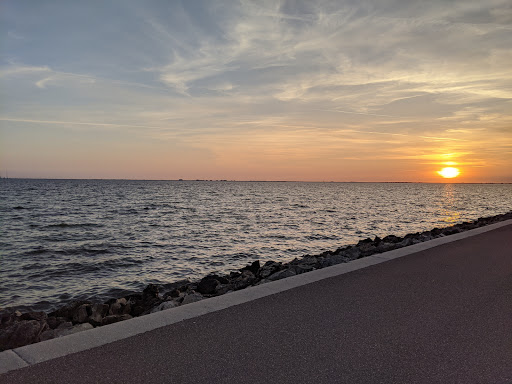 Courtney Campbell Causeway Trail